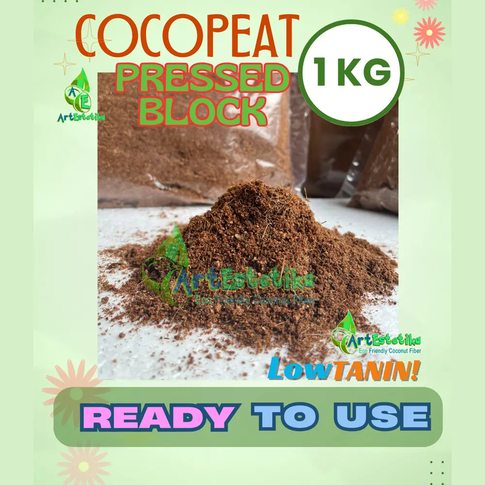 ccpt reg4.webp