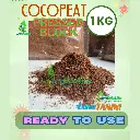 ccpt reg4.webp